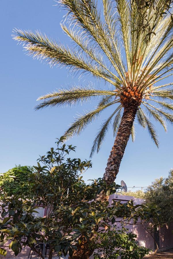 Palm Beach House Sfinarion Bagian luar foto