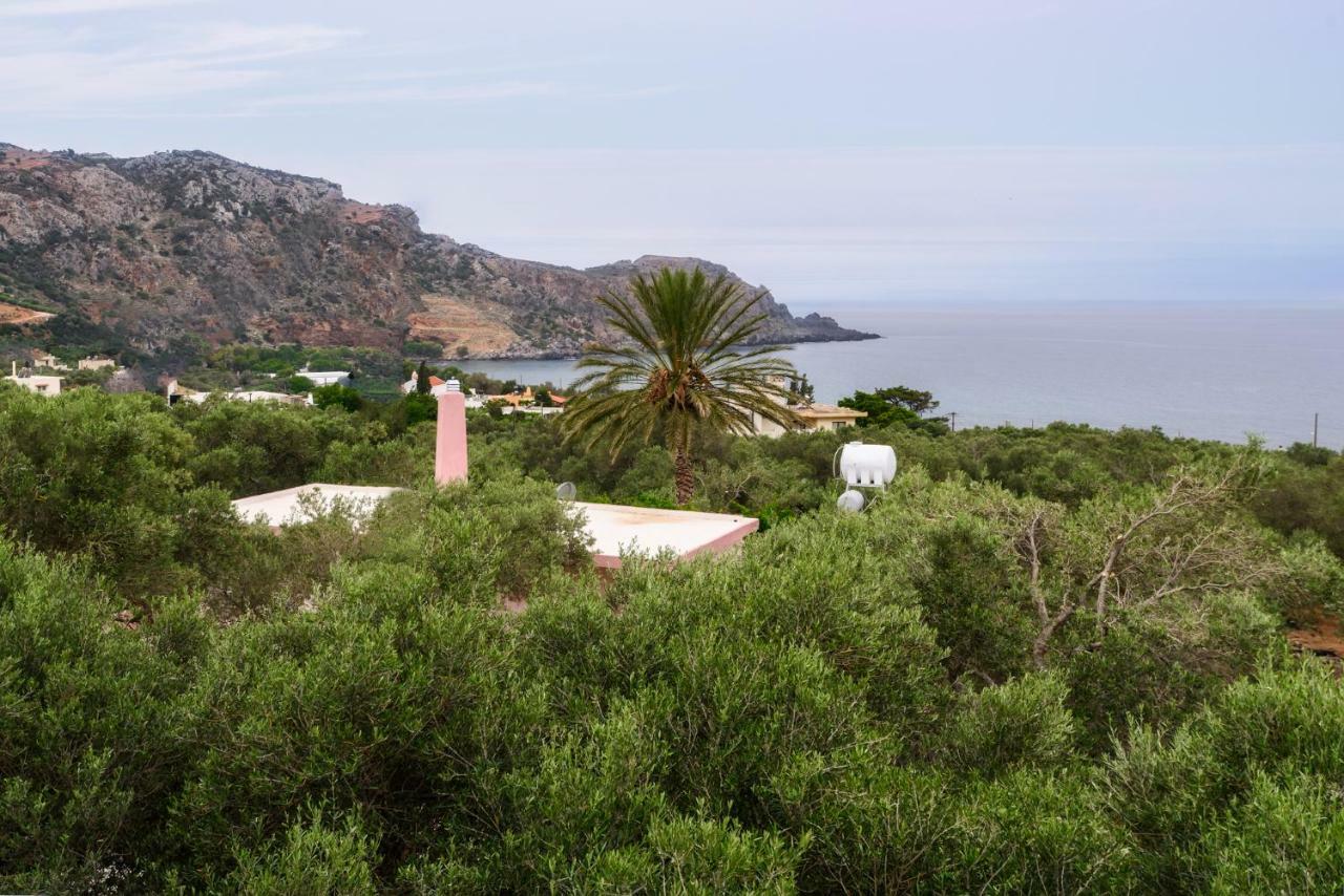 Palm Beach House Sfinarion Bagian luar foto